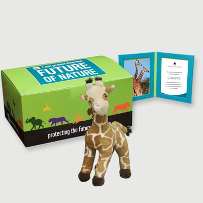 giraffe Plush, box + frame adoption kit