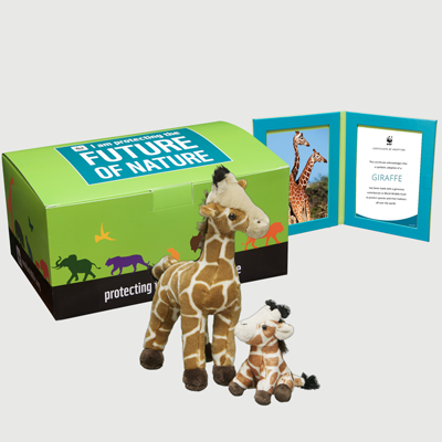 giraffe Plush pair adoption kit