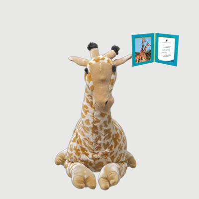 giraffe Giant plush adoption kit