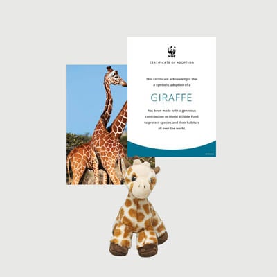 giraffe Mini plush adoption kit