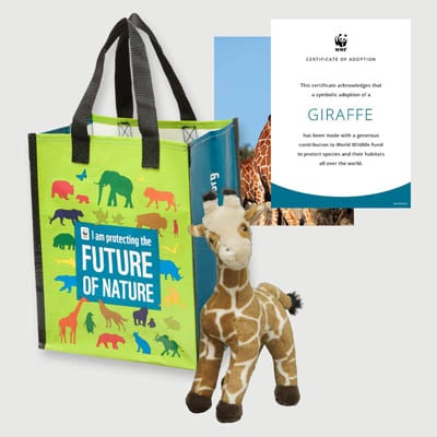 giraffe Plush adoption kit
