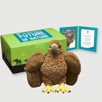 golden eagle Plush, box + frame adoption kit