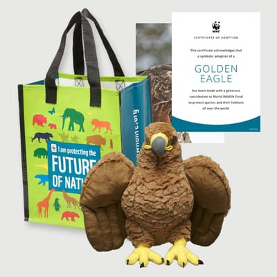 golden eagle Plush adoption kit