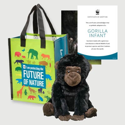 gorilla infant Plush adoption kit