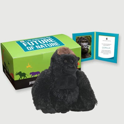 gorilla Plush, box + frame adoption kit