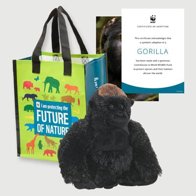 gorilla Plush adoption kit