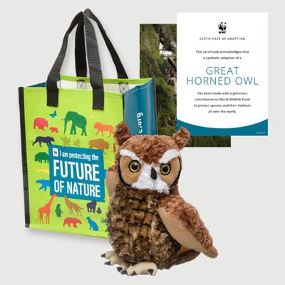 great horned owl Plush adoption kit