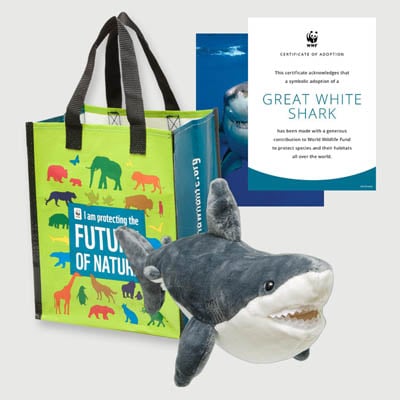 great white shark Plush adoption kit