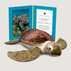 green turtle Giant plush adoption kit