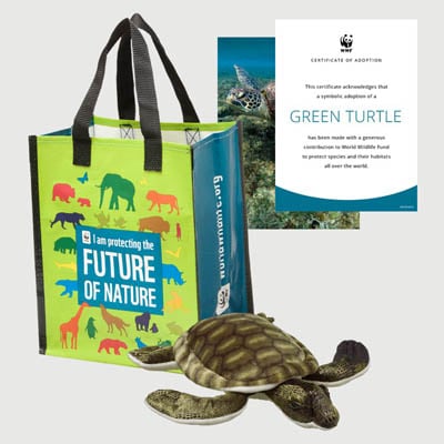 green turtle Plush adoption kit