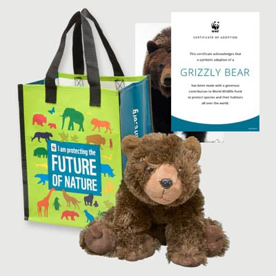 grizzly bear Plush adoption kit