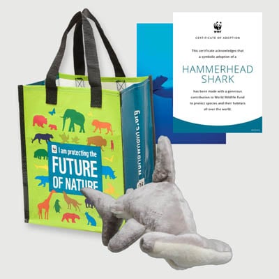 hammerhead shark Plush adoption kit