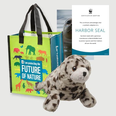 harbor seal Plush adoption kit
