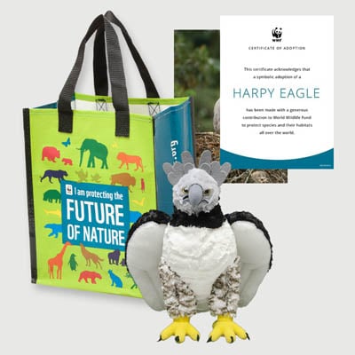 harpy eagle Plush adoption kit