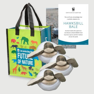 hawksbill bale Plush adoption kit