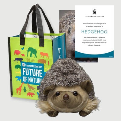 hedgehog Plush adoption kit