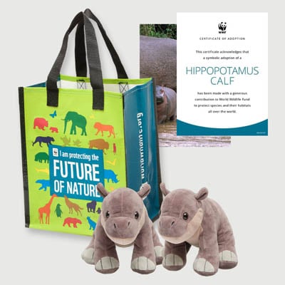 hippopotamus calf Plush adoption kit