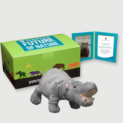 hippopotamus Plush, box + frame adoption kit