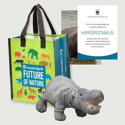 hippopotamus Plush adoption kit