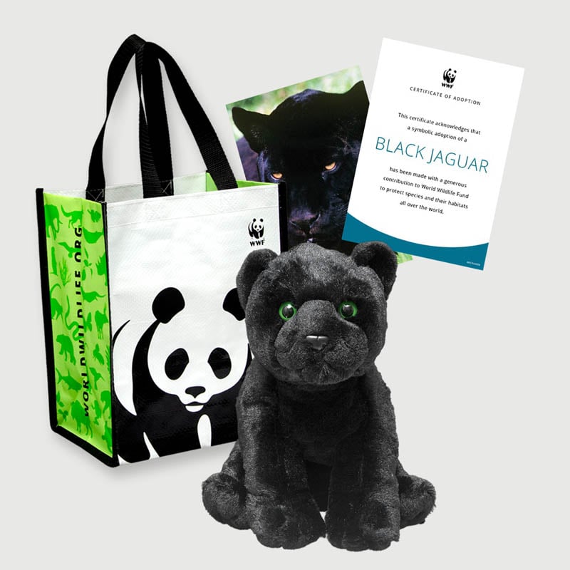 A black jaguar plush toy, a certificate of adoption, a colorful WWF tote bag, and informational items promoting wildlife conservation.
