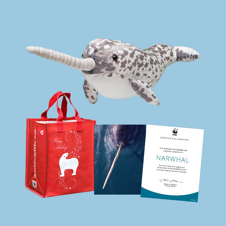WWF adoption kit for an African elephant, including a tote bag, a plush toy elephant, a certificate, and an elephant photo.