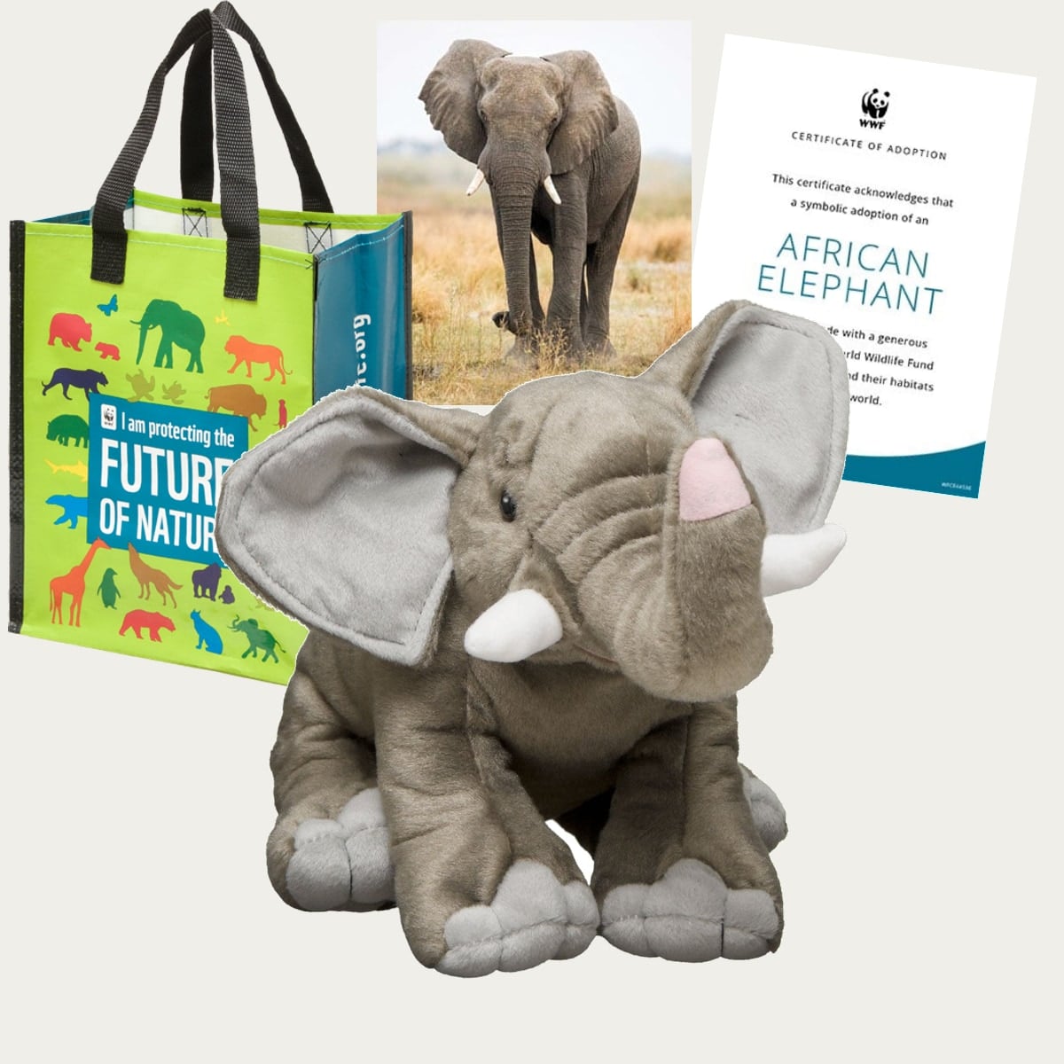 The image features an elephant adoption kit, including a stuffed animal elephant, a certificate of adoption for an African elephant, a photo of an elephant, and a green tote bag with conservation-themed graphics.
