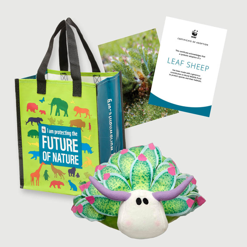 A WWF adoption kit for a "leaf sheep" including a tote bag, certificate, plush leaf sheep toy, and a photo of the animal.