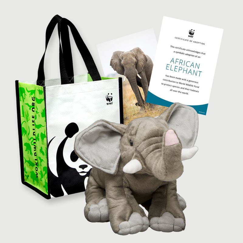 WWF adoption kit for an African elephant, including a tote bag, a plush toy elephant, a certificate, and an elephant photo.