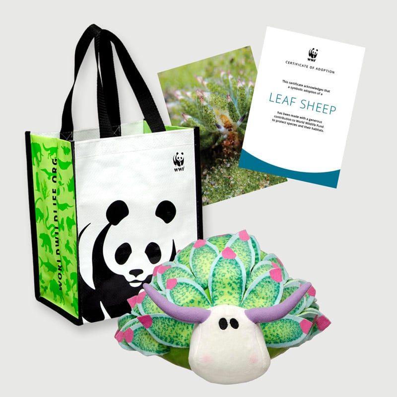 A WWF adoption kit featuring a tote bag with a panda logo, a leaf sheep plush toy, a certificate, and a photograph of the leaf sheep sea slug.