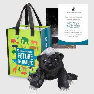 honey badger Plush adoption kit