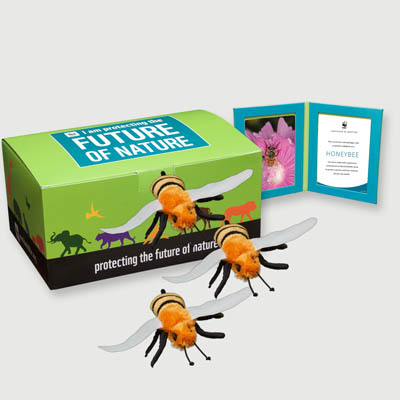 honeybee Plush, box + frame adoption kit