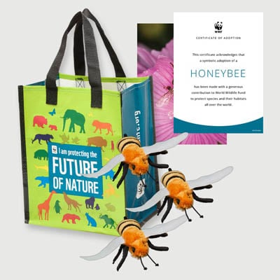 honeybee Plush adoption kit