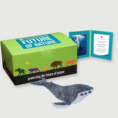 humpback whale Plush, box + frame adoption kit