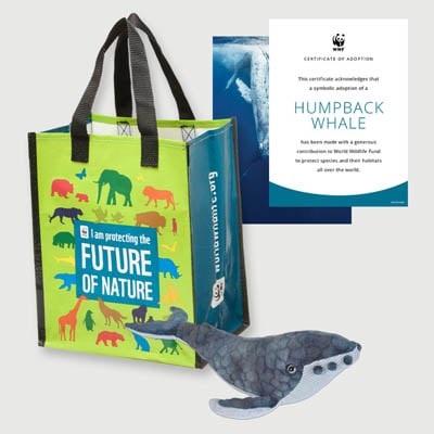 humpback whale Plush adoption kit