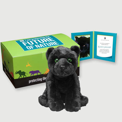 jaguar black Plush, box + frame adoption kit