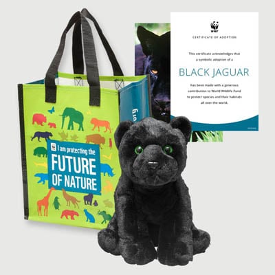jaguar black Plush adoption kit