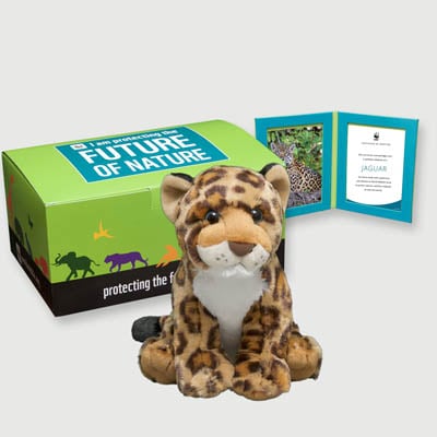 jaguar spotted Plush, box + frame adoption kit