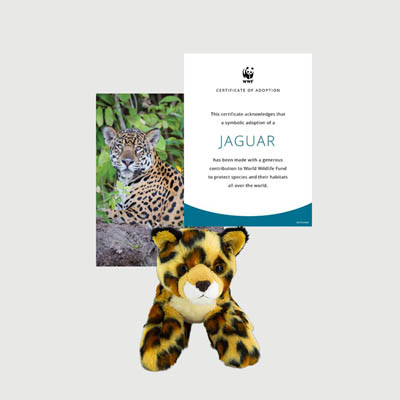 jaguar spotted Mini plush adoption kit