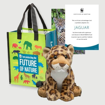 jaguar spotted Plush adoption kit