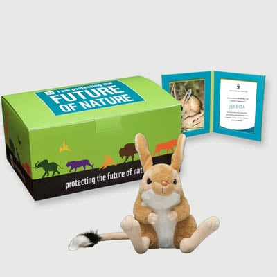 jerboa Plush, box + frame adoption kit