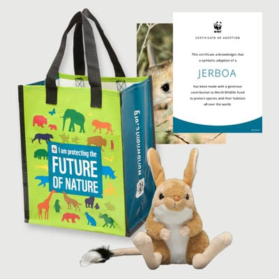 jerboa Plush adoption kit