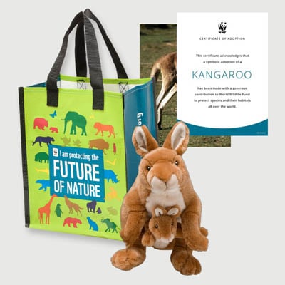 kangaroo and joey Plush adoption kit