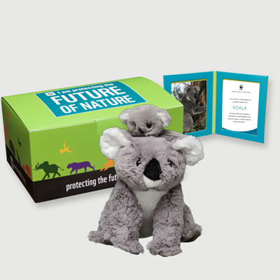 koala Plush pair adoption kit