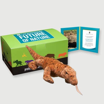 komodo dragon Plush, box + frame adoption kit