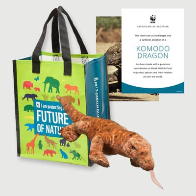 komodo dragon Plush adoption kit