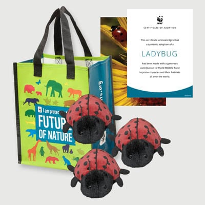 ladybug Plush adoption kit