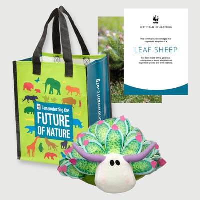 leaf sheep Plush adoption kit