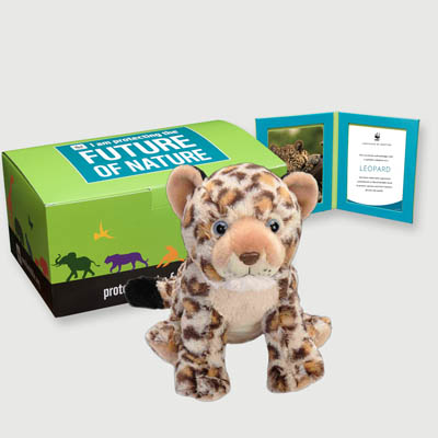 leopard Plush, box + frame adoption kit