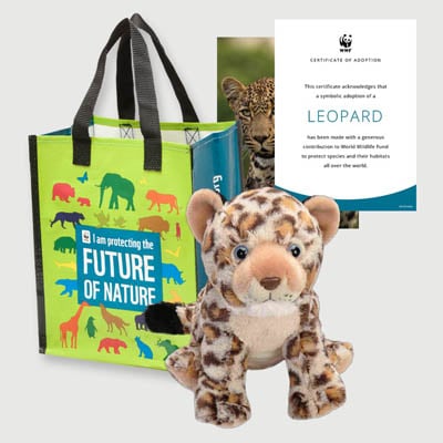leopard Plush adoption kit