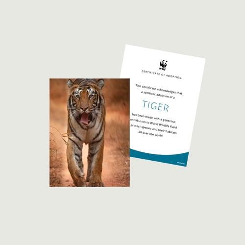 Symbolic Species Adoptions (Photo + Certificate) in the wild